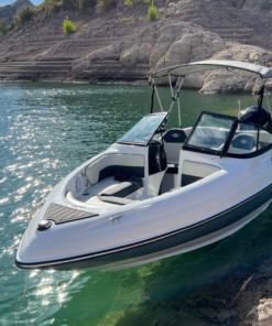 Lancha Geuna F185 GSS